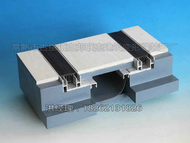 楼.地面变形缝(双列嵌型）FRWS