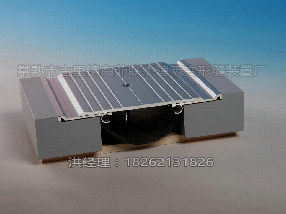 楼地面变形缝（沉重型）FDM